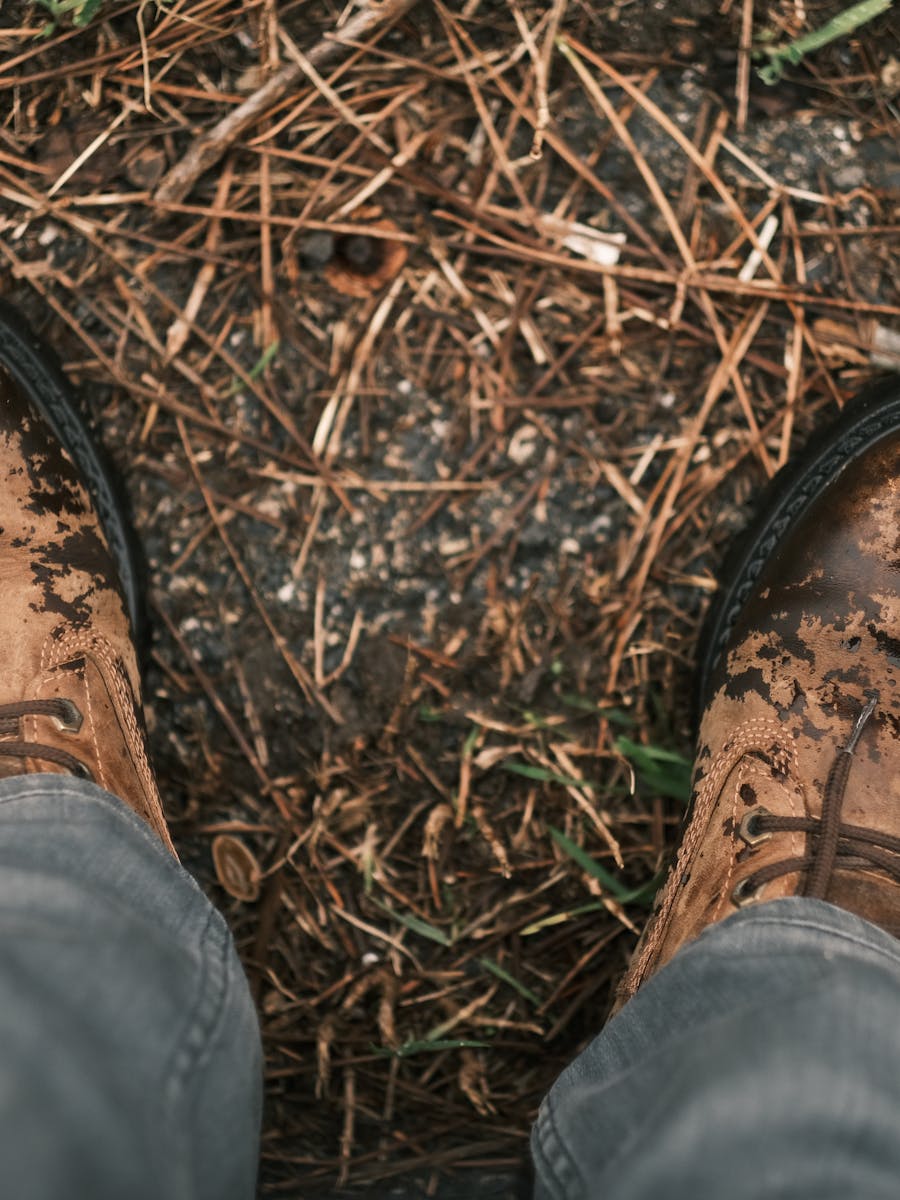 Clarks Suede Chelsea Boots